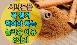 시나몬을 꼭 챙겨 먹어야 하는 놀라운 이유 8가지 | 운동