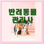 반려동물의 장례 뿐만아니라 반려동물 산업에 다방면으로 활용할 수 있는 자격증 in 2020 | Home decor decals, Decor, Home decor