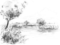 Pin by Janghee Lee on 풍경 | Landscape architecture drawing, Landscape architecture, Landscape