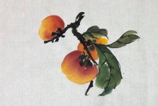 천아트에 있는 부금이님의 핀 | 그림, 나무 그림, 수채화 엽서