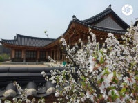 생기 넘치는 한옥 체험, 충남 부여의 한국전통문화대학교 유현당 (사진_트래블리더 8기 김민정) | Corea