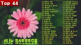 노래에 있는 전기수님의 핀 | 노래, 탱고, 사랑