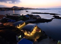 100년 넘은 제주도 돌집의 재탄생, 눈먼 고래-[ Z Lab ] Century_old farmhouse on Jeju Island gets a whale-inspired makeover... 