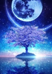 https:///nock1000.com/ - 우리카지노 - 우리카지노  ᕯ nock1000.com/ - 우리카지노 ᕯ - 2020 | 은하 예술, 판타지 아트, 하늘 그림 