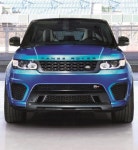 Right911님이 W.에 올린 개 이미지 | 간지