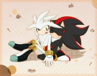 Shadow x Silver에 있는 mooni0628chi님의 핀