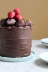 ninapiccini | Best chocolate cake, Chocolate cake recipe, Best chocolate