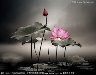 수묵담채화에 있는 근식 조님의 핀