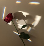 - 인스타 감성사진 아이폰 배경화면 inspiration - : 네이버 블로그 | 미적 사진, 배경화면, 빈티지 사진