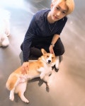 Stray Kids on Instagram: “엄마랑 강아지 친구들과 함께, 행복한 시간을 보냈다 ~ ❤👩 👦🐶 I had a great, happy... 