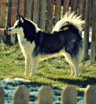 헬로카지노 헬로카지노-----▶ JACK14.CO.NR ◀-----헬로카지노 헬로카지노-----▶ JACK14.CO.NR ◀-----헬로카지노 헬로카지노... 