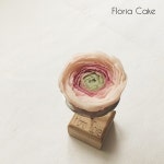 flowercake #앙금플라워케익 #케이크 #선물 #프로포즈#떡케이크 #떡 #설기 #앙금플라워 #꽃 #꽃스타그램 #맞팔 #소통 #… | Flower cake... 