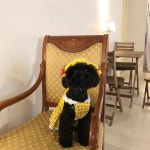 . . . . 알프스 🏔 개소녀 💫 . . . . .