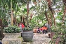 포천 가볼만한곳 허브 아일랜드 | Plants, Garden