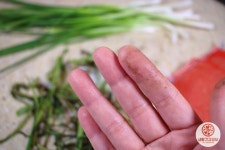 쪽파 까는 시간을 1/3로 줄여주는 ‘이것’ | 과일 보관, 수박, 반찬