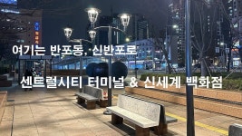 서초구 반포동, 신반포로 센트럴시티 터미널 & 신세계 백화점 앞에서 - 2023 | 백화점, 서울