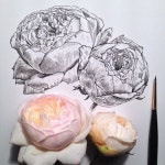 보타니컬아트에 있는 명남 한님의 핀 | 잉크