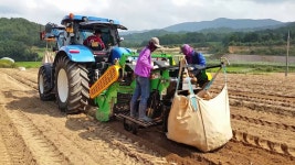 신흥공업사 감자수확장면 홍천내면 2015년 SH-T1400