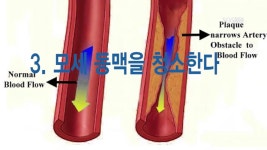 주식회사 파이토소울(PHYTO SOUL Inc.) | [라이프토크] 93회 천연의 약국 파이토케미컬(Phytochemicals) | 미국