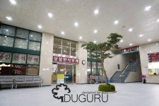 Artificial Pine trees 인조나무 , 인조소나무 , 실내조경 , artificial trees , indoor landscape , planterior - 2020 | 예산, 소나무