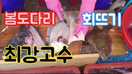 전문가 회뜨기 달인 - 도다리편(making sushi with fish)