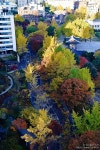 색동저고리 입은 덕수궁의 풍경 | South korea, Seoul korea, Seoul