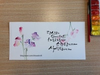 *아뜰리에쥬*캘리꽃그림/글씨배우기/수채캘리그라피/동탄캘리그라피... 수채꽃그림/캘리전문가(이미지 포함) | 손글씨, 수채화 아트, 수채화