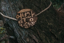 #KoreaTour, #KoreaTourism, #KoreaTravel, #KTO, #WellnessKorea, #WellnessTourismKorea, #WellnessTourismSupporters, #서귀포치유의숲... 