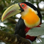 파랑새에 있는 경순 남님의 핀