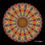 mandala 208, hecho por AMMejía en PSP | 색