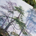 Акварель | 수채화