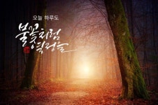 #가을#부천캘리#중동캘리#하남캘리#수채캘리#캘리배우기#캘리특강#캘리원데이#단풍 | 단풍, 엽서