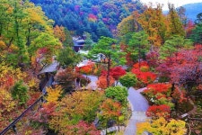 곤지암화담숲가을8.jpg