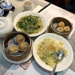 요기 홍콩 침사추이 맛집 !! 새우딤섬 맛집 !!!🤤