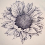 Sunflower tattoo #tattoo #sunflower #drawing #pencil | 스케치, 해바라기, 해바라기 그림
