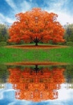 자연-nature~에 있는 지안 Roh님의 핀 | 자연 사진, 장면, 풍경 사진