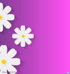 코스모스 일러스트 ai 무료다운로드 free Cosmos vector download, 이미지... 이미지소스, #일러스트아이디… | 일러스트레이션, 배너, 웹디자인