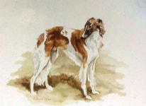 Pin by animal king on 개 | Horses, dogs, Russian wolfhound, Dogs