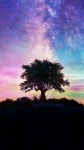Pin by 아윤 on 수채화 | Celestial, Photo, Photography