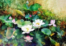 선임 정님의 꽃그림 | 유화, 수채화 아트, 연꽃 그림