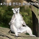 이른 더위에  소화기가 힘이 달려서일 수도 있다.   그러나 단순히 음식 문제일 수도 있다.  헬스와 뷰티를 다루는 온라인 … | 검은콩, 병아리콩, 콩