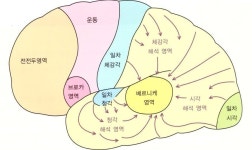 어울림특수체육센터 | 단순한
