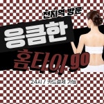 응큼한 홈타이 (서울/경기/인천) - 2022 | 인천, 서울, 스파
