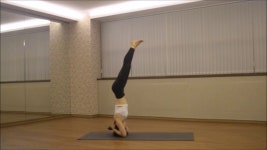 아쉬탕가 요가 부산 구서동 요가인디아 (Ashtanga yoga intermediate Busan ,korea) | 아쉬탕가 요가, 요가