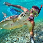 Pin by 족발의장인 족장 on 족장 | Gopro pictures, Gopro photos, Underwater photos