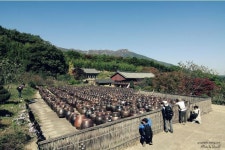 통도사로 초가을 여행을 떠나보세요(이미지 포함) | 의