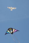 Box Kites, And A Few Interesting Variations - 2020(이미지 포함) | 종이