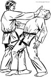 karate-techniques-judo-karate | 합기도