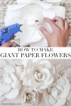 DIY 거대한 종이 꽃 자습서 | Giant paper flowers diy, Paper flower tutorial, Giant paper flower tutorial