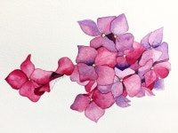 꽃그림 #수채화 #감성수채화 #수채일러스트... 일러스트 #illust #illustration #watercolorillustration #watercolor #감성샷… | Kunst, Bilder